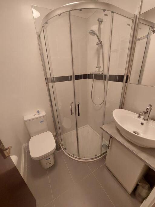 Newly Refurbished Studio 伦敦 外观 照片